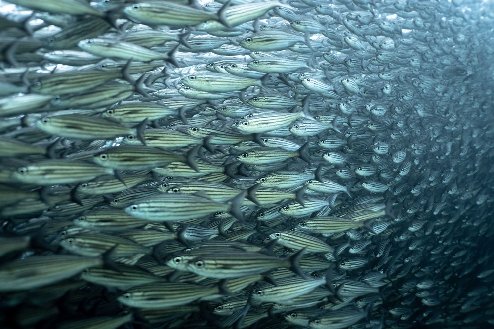 Some Photos: Waterworld