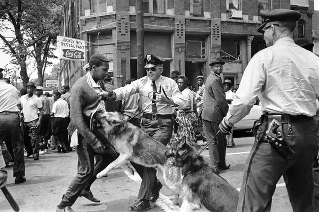 A 17-year-old civil rights demonstrator, defying an anti-parade ordinance in Birmingham, Alabama, is attacked by a police dog on May 3, 1963. On the afternoon of May 4, 1963, during a meeting at the White House with members of a political group, President Kennedy discussed this photo, which had appeared on the front page of that day's New York Times. (Photo by Bill Hudson/AP Photo)