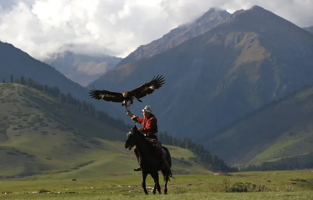 A mounted Kyrgyz berkutchi (an eagle hunter) holds his bird, a golden eagle, during the World Nomad Games 2016 in the Kyrchin (Semenovskoe) gorge, some 300 km from Bishkek on September 7, 2016. (Photo by Vyacheslav Oseledko/AFP Photo)