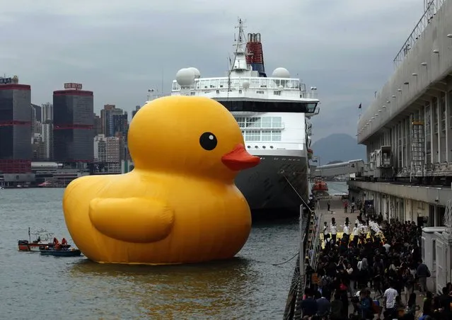 Rubber Duck by Dutch conceptual artist Florentijn Hofman floats near Ocean Terminal at Hong Kong's Victoria Harbour May 2, 2013. The 16.5-meter-high inflatable sculpture, which made its first public appearance in the territory on Thursday, will be shown at the Ocean Terminal for a month. (Photo by Bobby Yip/Reuters)