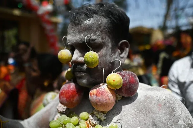 A devotee with his body pierced with metal hooks, takes part in a procession on the occasion the Panguni Uthiram festival, which is observed in the Tamil month of Panguni and is celebrated to honour the Hindu God Murugan, in New Delhi on April 5, 2023. (Photo by Sajjad Hussain/AFP Photo)