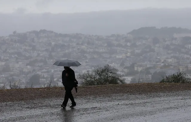 A man carries an umbrella while walking along a road on Bernal Heights Hill in San Francisco, Friday, October 14, 2016. (Photo by Jeff Chiu/AP Photo)