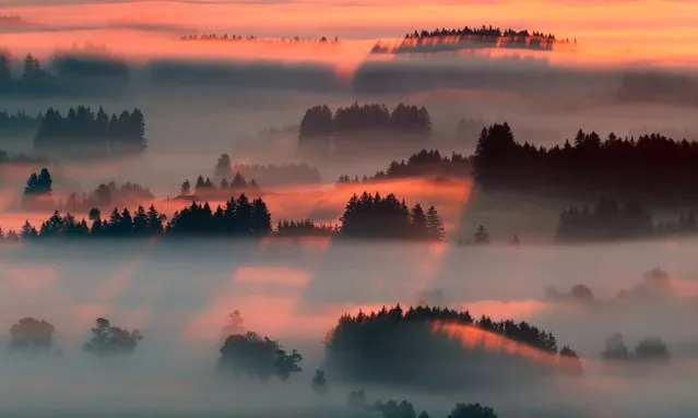 Morning fog lighted by the sunrise in Bernbeuren, Germany 22 August 2015. (Photo by Karl-Josef Hildenbrand/EPA)