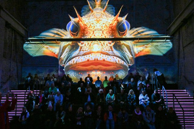 Visitors look at the new digital exhibition “Wonderland Ocean” at the former gas plant Phoenix West in Dortmund, western Germany on October 9, 2024. In 2023, Culturespaces created an immersive art centre in the Phoenix Halle, a former gas treating plant, part of the famous Phoenix West blast furnace. Phoenix des Lumières presents monumental immersive digital exhibitions, dedicated to major artists in the history of art and to contemporary art. (Photo by Ina Fassbender/AFP Photo)