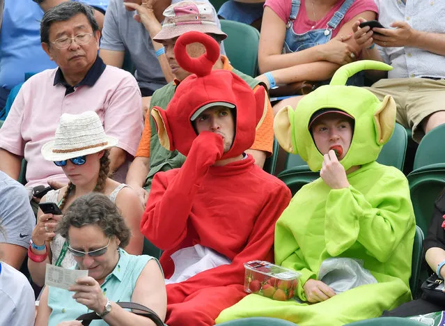 Fans wearing Teletubbies suits eat strawberries during the Wimbledon Championships at the All England Lawn Tennis and Croquet Club in London on June 5, 2018. (Photo by Toby Melville/Reuters)