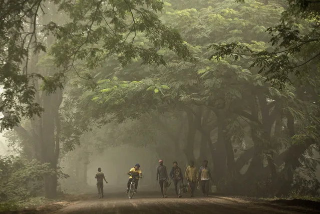 A cyclist pedals past people walking on a road covered with fog on the outskirts of Gauhati, India, Friday, November 23, 2018. (Photo by Anupam Nath/AP Photo)