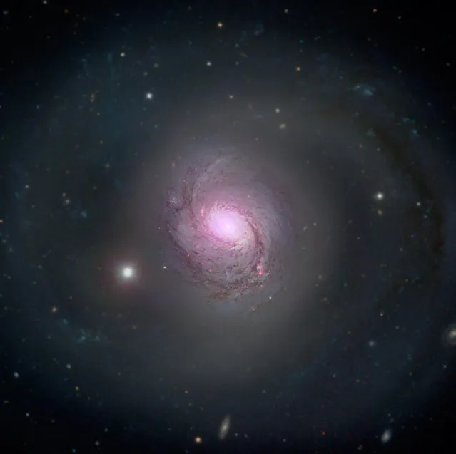 Galaxy 1068 located about 47 million light-years away in the constellation Cetus is shown in visible light and X-rays in this NASA composite image released on December 17, 2015. High-energy X-rays (magenta) captured by NASA's Nuclear Spectroscopic Telescope Array, or NuSTAR, are overlaid on visible-light images from both NASA's Hubble Space Telescope and the Sloan Digital Sky Survey. The X-ray light is coming from an active supermassive black hole, also known as a quasar, in the center of the galaxy. (Photo by Reuters/NASA/JPL-Caltech/Roma Tre Univ)