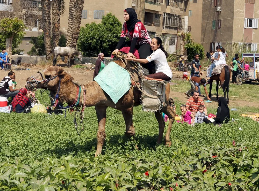 Sham el Nessim – Spring Holiday in Egypt