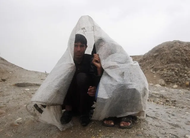 Afghan farmers cover themselves with a plastic sheet from the rain on the outskirts of Jalalabad, February 24, 2015. (Photo by Reuters/Parwiz)