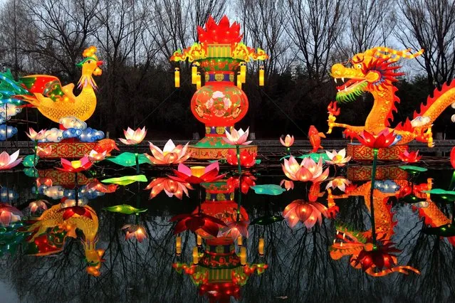 A rooster and a dragon lantern are seen at a lantern fair ahead of the upcoming Spring Festival, in Xuchang, Henan province, January 14, 2017. (Photo by Reuters/Stringer)