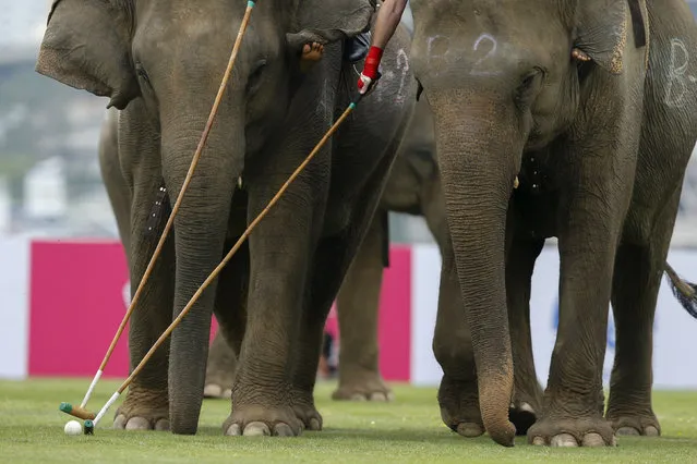 Players take part in an exhibition match during the annual charity King's Cup Elephant Polo Tournament at a riverside resort in Bangkok, Thailand March 10, 2016. (Photo by Jorge Silva/Reuters)