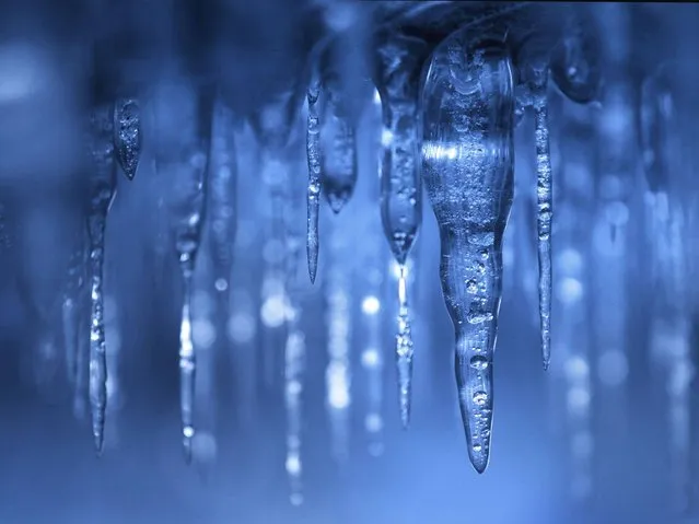 In this February 2, 2014 photo, icicles hang from the ceiling of a cave at Apostle Islands National Lakeshore in northern Wisconsin, which has been transformed into a dazzling display of ice sculptures by the arctic siege gripping the Upper Midwest. (Photo by Brian Peterson/AP Photo/Minneapolis Star Tribune)