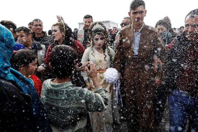 Iraqi newlyweds, who fled Mosul, Hussain Zeeno Zannun (R) 26, and Chahad, 16, are showered in foam during their wedding party at Khazer camp in Iraq February 16, 2017. (Photo by Zohra Bensemra/Reuters)
