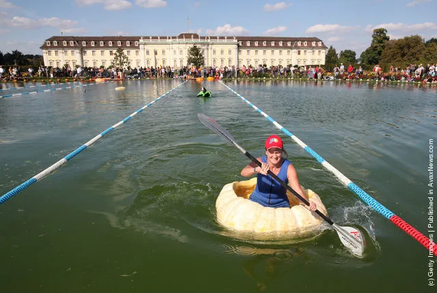 Giant pumpkin race