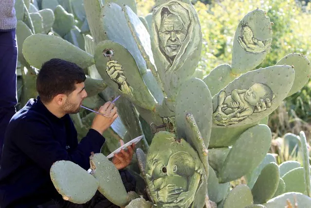 Palestinian artist Ahmad Yasin paints on a cactus fruits tree at his house garden in the West Bank village of Aseera Ashmaliya near Nablus March 31, 2016. (Photo by Abed Omar Qusini/Reuters)