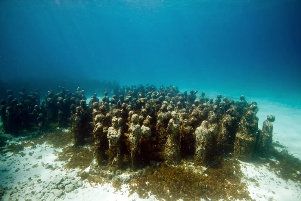Underwater Sculpture, Part 1: “The Silent Evolution”