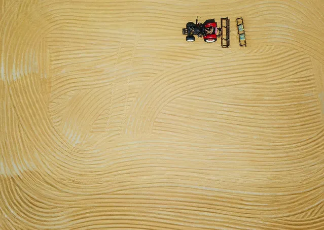 This aerial photo taken on June 11, 2019 shows a farmer drying wheat with a tractor during harvest season in Lianyungang in China's eastern Jiangsu province. (Photo by AFP Photo/Stringer)