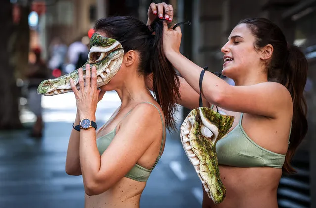 Activists from the animal rights group PETA wearing bikinis and crocodile masks assist each other outside a store of the French fashion label Hermes in Sydney on March 4, 2021, as they protest against their use of crocodile skins and the recent purchases by Hermes and LVMH of crocodile farms in Australia's Northern Territory. (Photo by David Gray/AFP Photo)