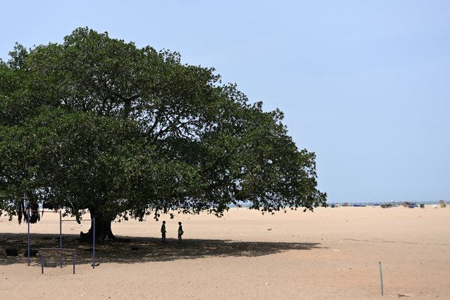 People shelter from the sun under the shade of a tree at Marina beach during a hot summer day in Chennai on May 3, 2024. (Photo by R.Satish Babu/AFP Photo)