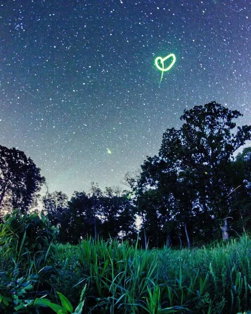 A photographer has shot this stunning series of images using time-lapse photography to portray the beauty of fireflies in a whole new light. (Photo by Caters News)