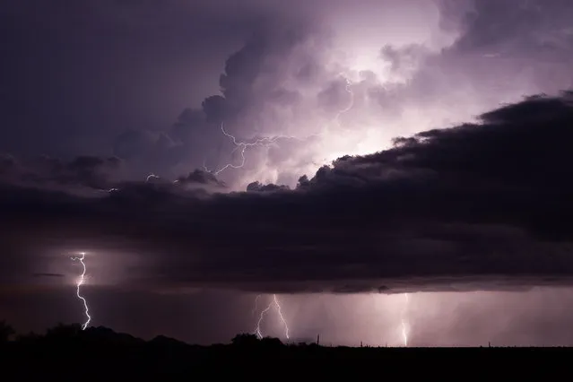 A magnificent series of lightning strikes captured in a spam of 20 seconds just after a thunderstorm in Arizona, September 2012. (Photo by Mike Olbinski/Barcroft Media)