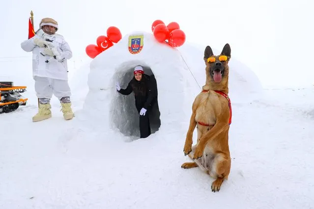 Search and rescue dog “Linda” poses for a photo in front of an igloo built by Gendarmeries and police in Hakkari province of eastern Turkiye on February 05, 2022. Igloos (snow huts) constructed by Gendarmerie Search and Rescue (JAK) teams and special operations police in Hakkari attract tourists to the city's winter festival. The “4th Snow Festival” is still going strong at Merga Butan Ski Center, with contributions of the Governor's Office, Municipality, Provincial Directorate of Youth and Sports, Provincial Directorate of Culture and Tourism, and Eastern Anatolia Development Agency (DAKA), with the goal of developing the city's winter and nature tourism. (Photo by Ozkan Bilgin/Anadolu Agency via Getty Images)