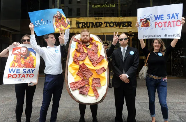 Loaded Potato Skin, the iconic appetizer from TGI Fridays, announces his candidacy for President of the United States in front of Trump Tower, Tuesday, July 21, 2015 in New York. Mr. Potato Skin is the 16th candidate in an already crowded field, and while not affiliated with any political party, he knows how to party and is prepared to prove it.  Mr. Potato Skin encourages supporters to visit www.skin4president.com and use #PotatoPOTUS and #PotatoInChief in social conversations. (Photo by Diane Bondareff/Invision for TGI Fridays/AP Images)