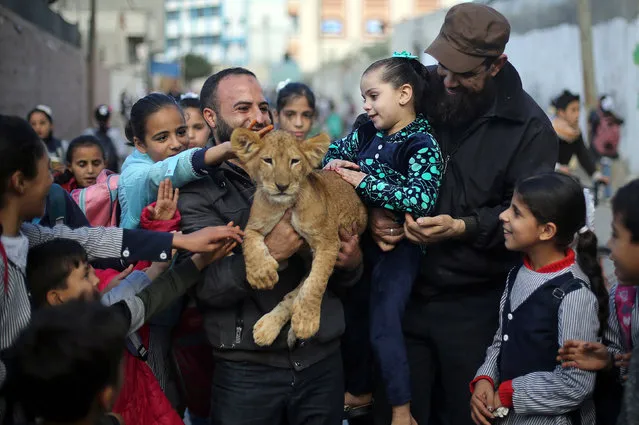 A Palestinian man carries a lion cub as he shows it to children in Rafah refugee camp in the southern Gaza Strip on December 4, 2019. (Photo by Ibraheem Abu Mustafa/Reuters)