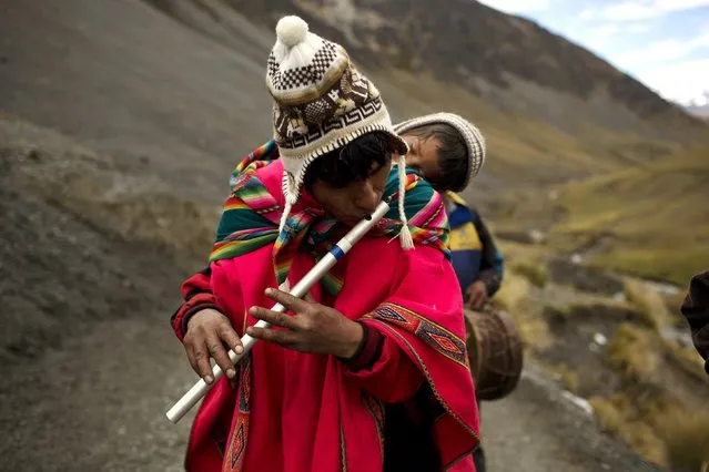 In this May 24, 2016 photo, a pilgrim carrying his son on his back, plays a traditional Andean flute known as a quena, as he walks the five miles to the Sanctuary of the Lord of the Qoyllur Rit’i, to take part in the syncretic festival of the same name, translated from the Quechua language as Snow Star, in the Sinakara Valley, in Peru's Cusco region. (Photo by Rodrigo Abd/AP Photo)