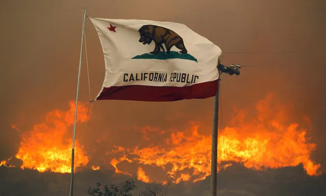 The California state flag flies next to a home on Highway 94 south Potrero, Calif., on Monday, June 20, 2016, as huge flames roar behind it. An intensifying heat wave stretching from the West Coast to New Mexico threatened to make the fight against Southern California wildfires more difficult Monday. (Photo by Hayne Palmour IV/San Diego Union-Tribune via AP Photo)