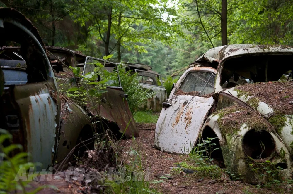 Forest Full of Abandoned Cars in Belgium