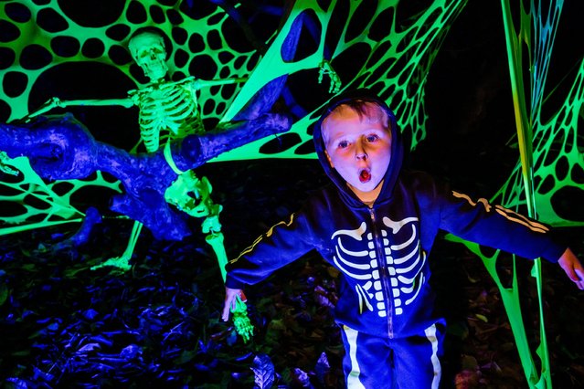 A young visitor gets spooky on the new Halloween light trail at Kew Gardens in London on October 17, 2024. (Photo by Guy Bell/Alamy Live News)