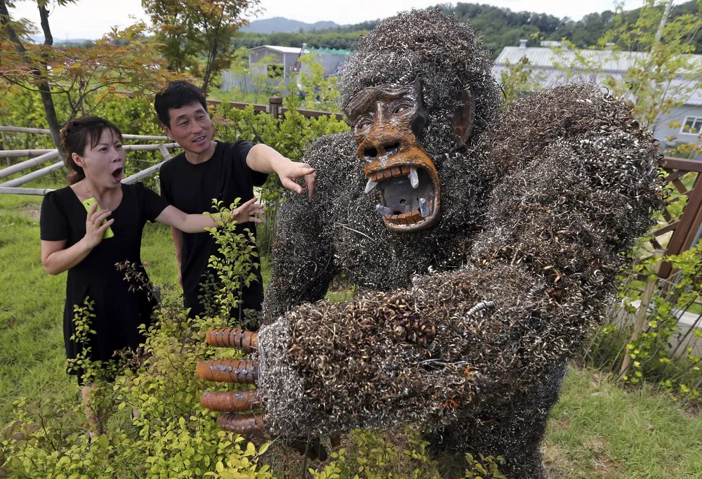 The Week in Pictures: Jule 27 – August 2, 2014. Part 2/5