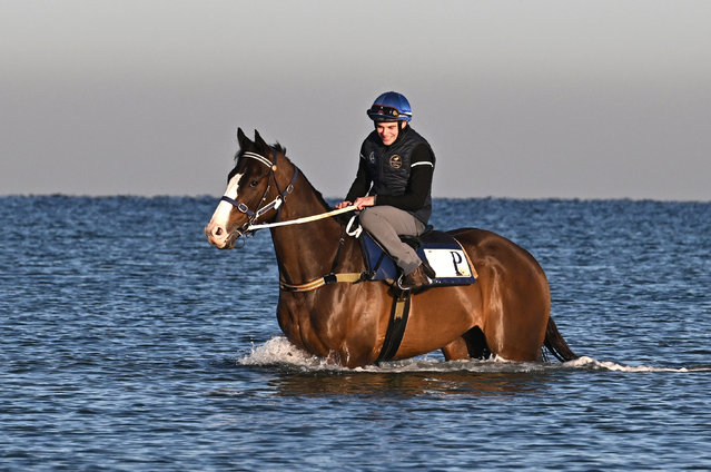 Matthew Chadwick riding I'm Thunderstruck during a trackwork session at Carrum Beach on September 14, 2022 in Melbourne, Australia. (Photo by Vince Caligiuri/Getty Images)