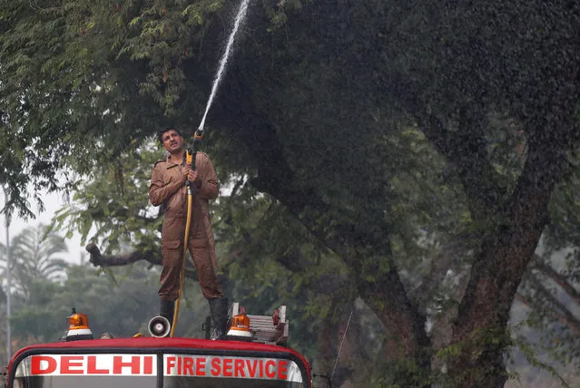 A firefighter sprays water onto trees to fight the air pollution in Delhi, India November 14, 2017. (Photo by Cathal McNaughton/Reuters)