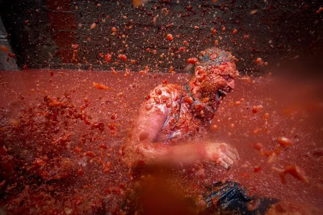 A reveller is pelted with tomato pulp during the annual “Tomatina” festivities in the village of Bunol, near Valencia on August 31, 2016. (Photo by Biel Alino/AFP Photo)