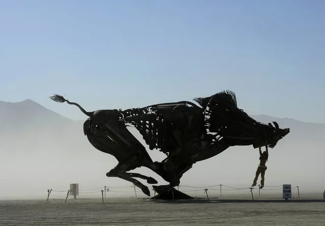 Burners play on an interactive wild boar sculpture on a dusty morning at Burning Man in the Black Rock Desert near Gerlach, Nev. on Saturday, August 27, 2016. The annual festival is dedicated to community, art, self-expression and self-reliance. (Photo by Andy Barron/The Reno Gazette-Journal via AP Photo)