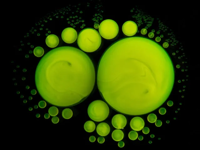 Green fluorescent droplets formed by mixing the chemicals inside a fluorescent stick. (Photo by Yan Liang/Caters News)