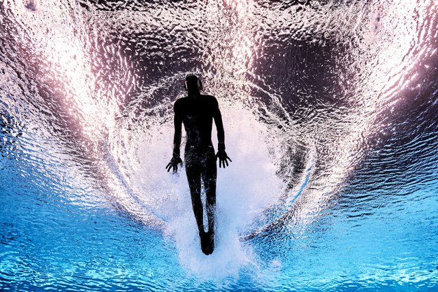Robbie Lee of Team Great Britain competes in the Men's 10m Platform Preliminaries on day 23 of the Singapore 2025 World Aquatics Championships at OCBC Aquatic Centre on August 02, 2025 in Singapore. (Photo by Adam Pretty/Getty Images)