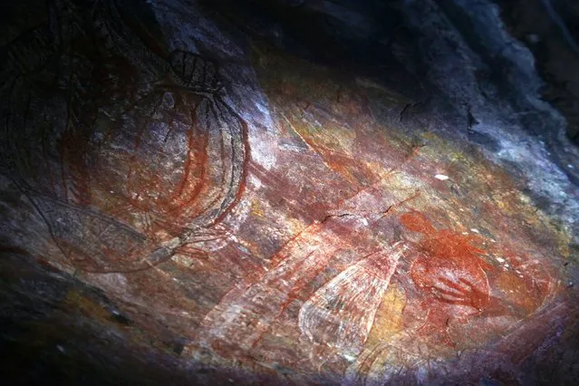 Australian Aboriginal rock art can be seen in a cave near the township of Jabiru located near Arnhem Land November 26, 2014. (Photo by David Gray/Reuters)