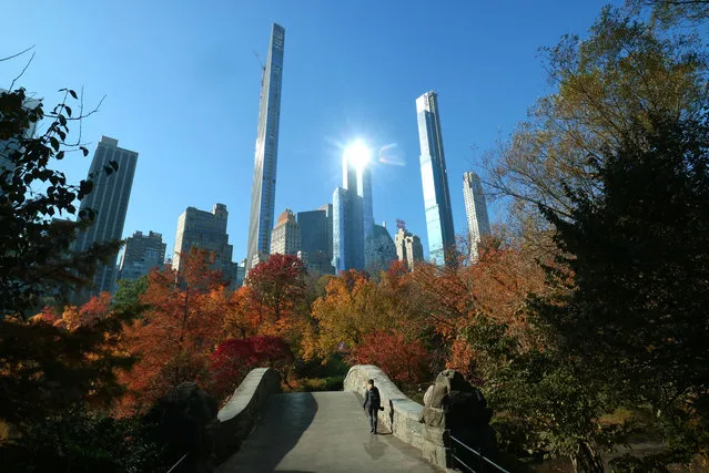 A woman walks over the Gapstow Bridge in Central Park in front of the Steinway Tower, One 57 and Central Park Tower on Billionaires' Row on November 9, 2020 in New York City. (Photo by Gary Hershorn/Getty Images)