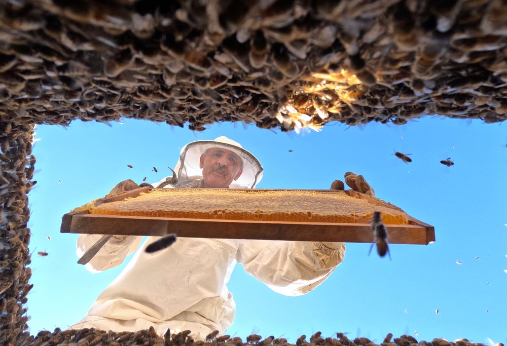 A Look at Life in Turkey