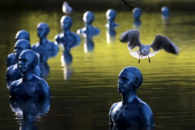 A seagull flies past the art-work "Where the Tides ebb and flow" by Argentinian artist Pedro Marzorati installed in a pond at the Montsouris park ahead of the COP21 World Climate Summit in Paris, France, November 26, 2015. The conference of the 2015 United Nations Framework Convention on Climate Change (COP21) will start on November 30, 2015 at Le Bourget near the French capital. (Photo by Christian Hartmann/Reuters)