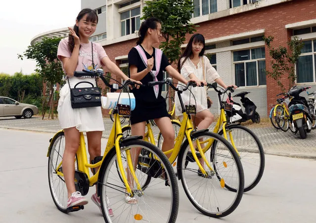 Students pose for pictures as they use ofo sharing bicycles at a campus in Zhengzhou, Henan province, China, September 6, 2016. (Photo by Reuters/China Daily)