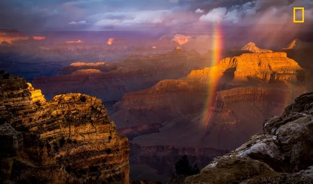 “Grand Canyon Just After the Rain”. “Just at sunrise, a storm approached the South Rim, and I almost packed my gear. But it cleared temporarily, giving me this amazing view from Powell Point. My first trip to this magnificent landmark left me speechless while I was taking this shot”. (Photo by Naresh Balaguru/National Geographic Travel Photographer of the Year Contest)
