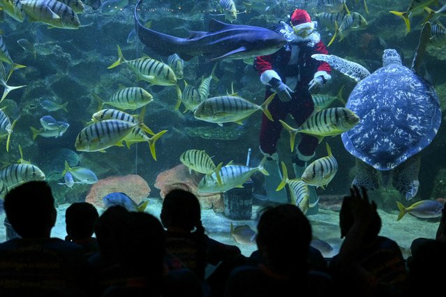 Aquarist diver Faiz Mahamud in a Santa Claus outfit feeds fish in a tank at the Aquaria KLCC in Kuala Lumpur on December 12, 2025. The scuba-diving Santa Claus feeding fish is one of the prime attractions in conjunction with Christmas festivities at the KLCC Aquaria. (Photo by Mohd Rasfan/AFP Photo)