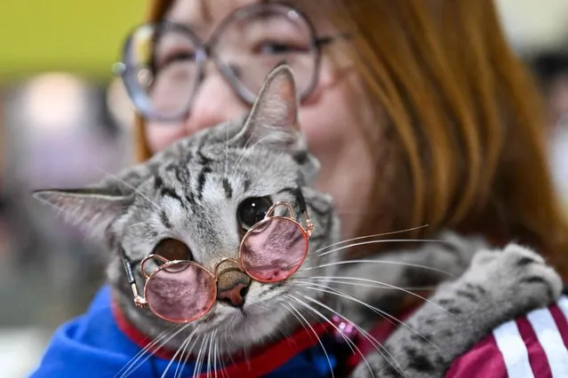 A visitor carries a cat wearing sunglasses during the Malaysia's Pet Exhibition in Kuala Lumpur on June 23, 2023. (Photo by Mohd Rasfan/AFP Photo)