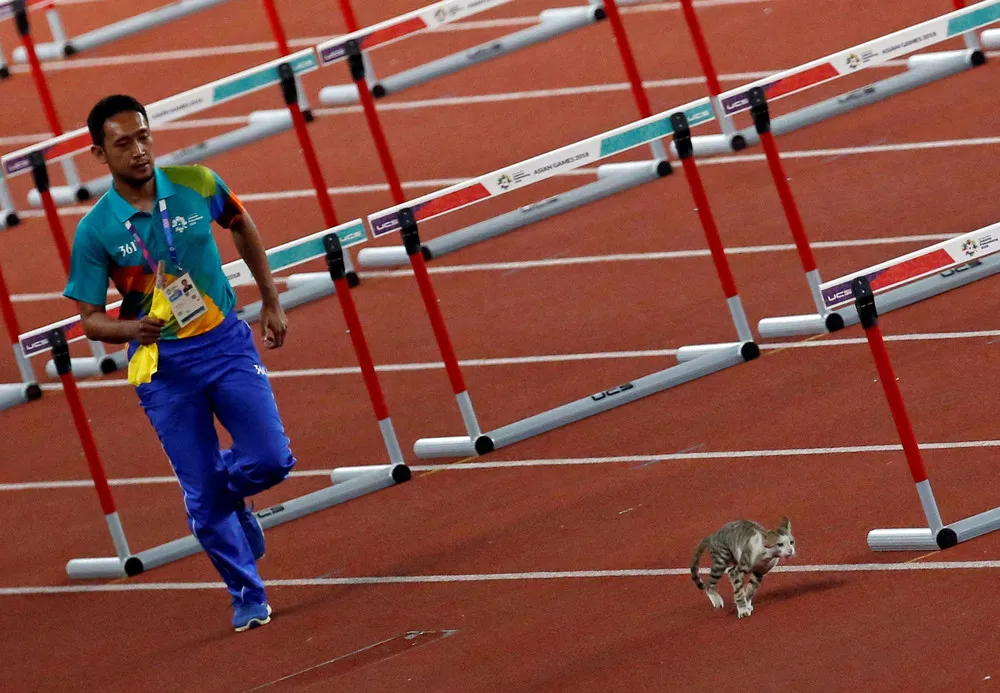 The Day in Photos – August 27, 2018