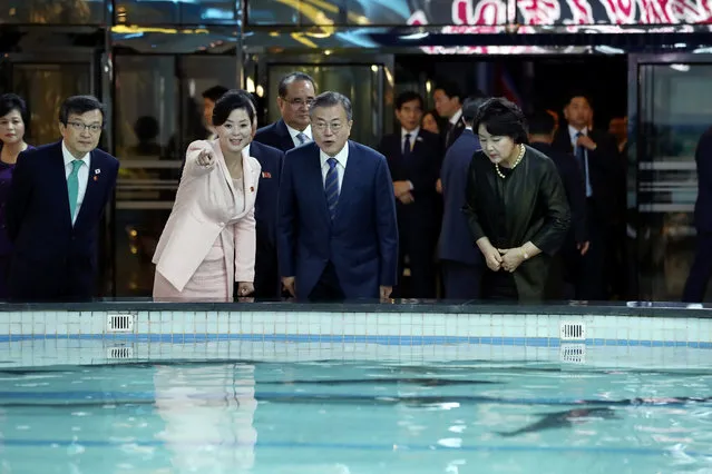 South Korean President Moon Jae-in and first lady Kim Jung-sook (R) look at a fish tank during their visit to Taedong River Seafood Restaurant in Pyongyang, North Korea, September 19, 2018. (Photo by Pyeongyang Press Corps/Pool via Reuters)