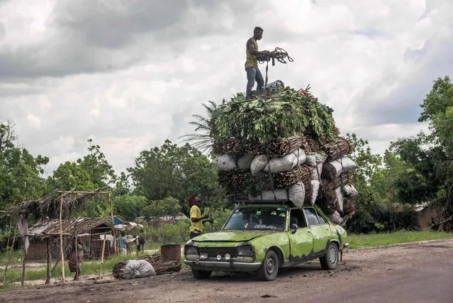 Vegetables, wood and charcoal are loaded onto the roof of a battered Peugeot on November 7, 2018 in Matadi, Democratic Republic of the Congo. From the port of Matadi to the capital Kinshasa, a 350 km road crosses the south-west of the Democratic Republic of Congo. (Photo by Junior D. Kannah/AFP Photo)